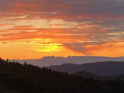 IMG_4086