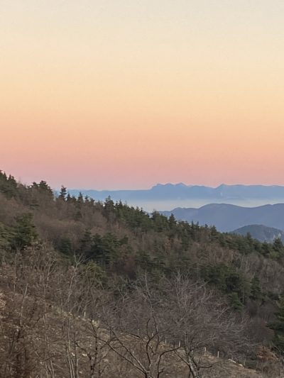 IMG_4255