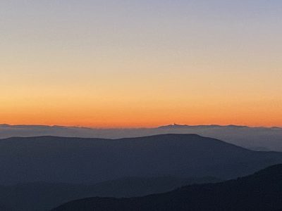IMG_4440