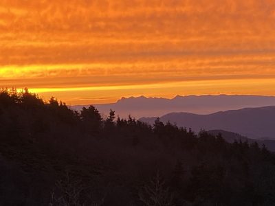 IMG_4620